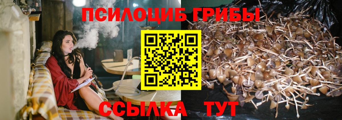 Галлюциногенные грибы прущие грибы Сарапул