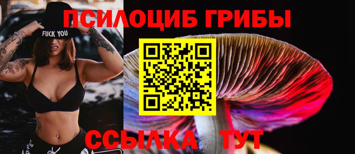 Псилоцибиновые грибы ЛСД  Галлюциногенные грибы ЛСД  Сарапул  Вход с VPN 